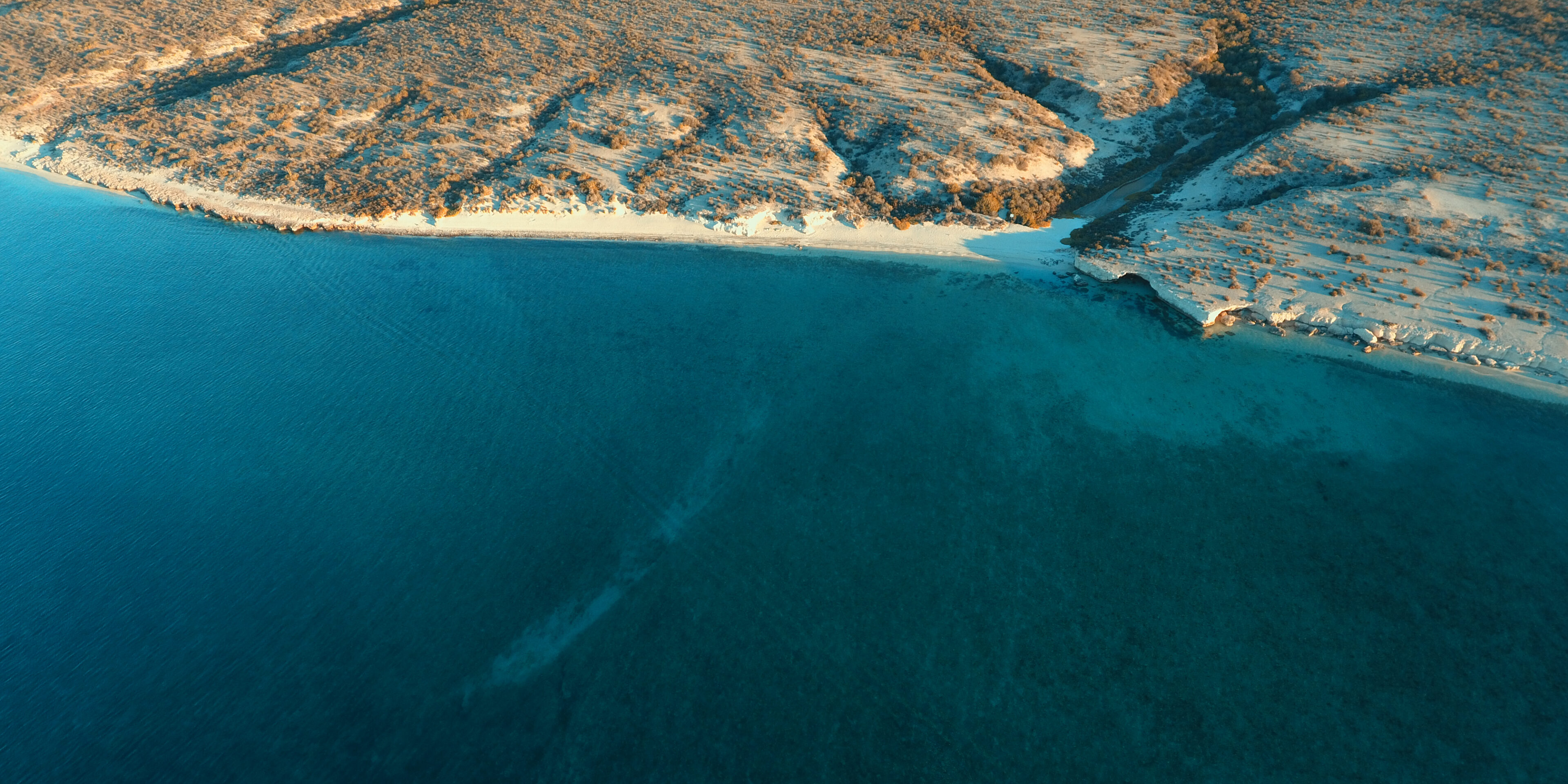 Course Sea Beginner Courses | Sea Kayak Baja