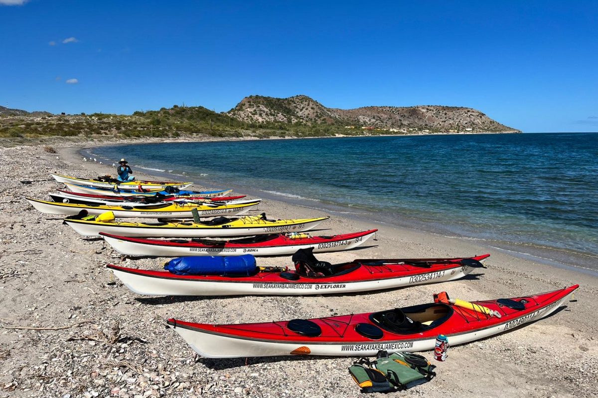 4f0a6df7-67dc-401e-bf5f-5eb7a34075d8