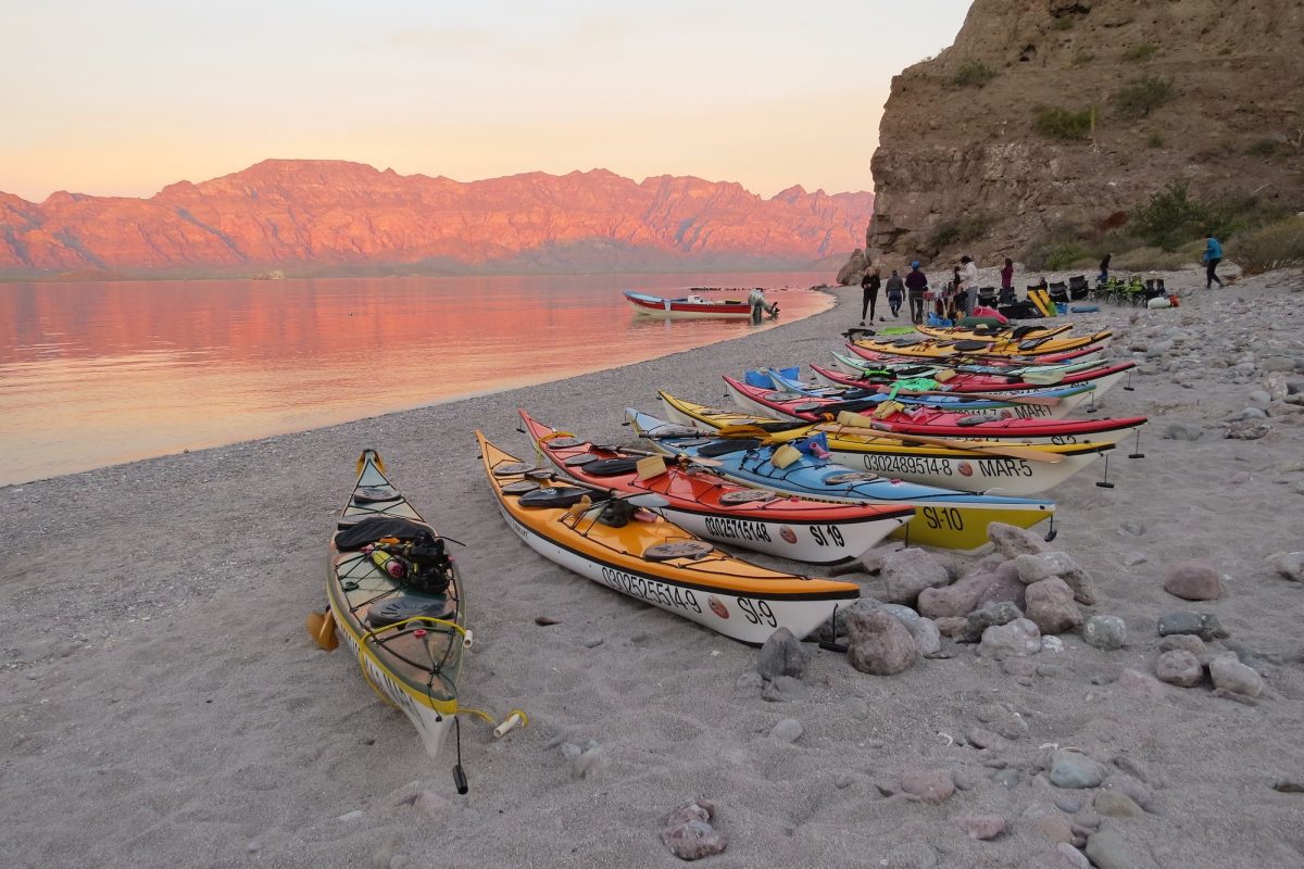 7847ManyKayaksSunrise.3