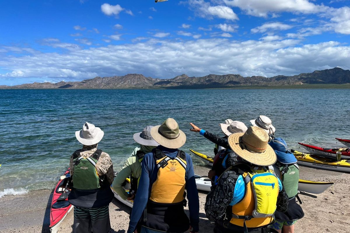 f76bcce8-eb0b-4632-a77d-100454cf949d