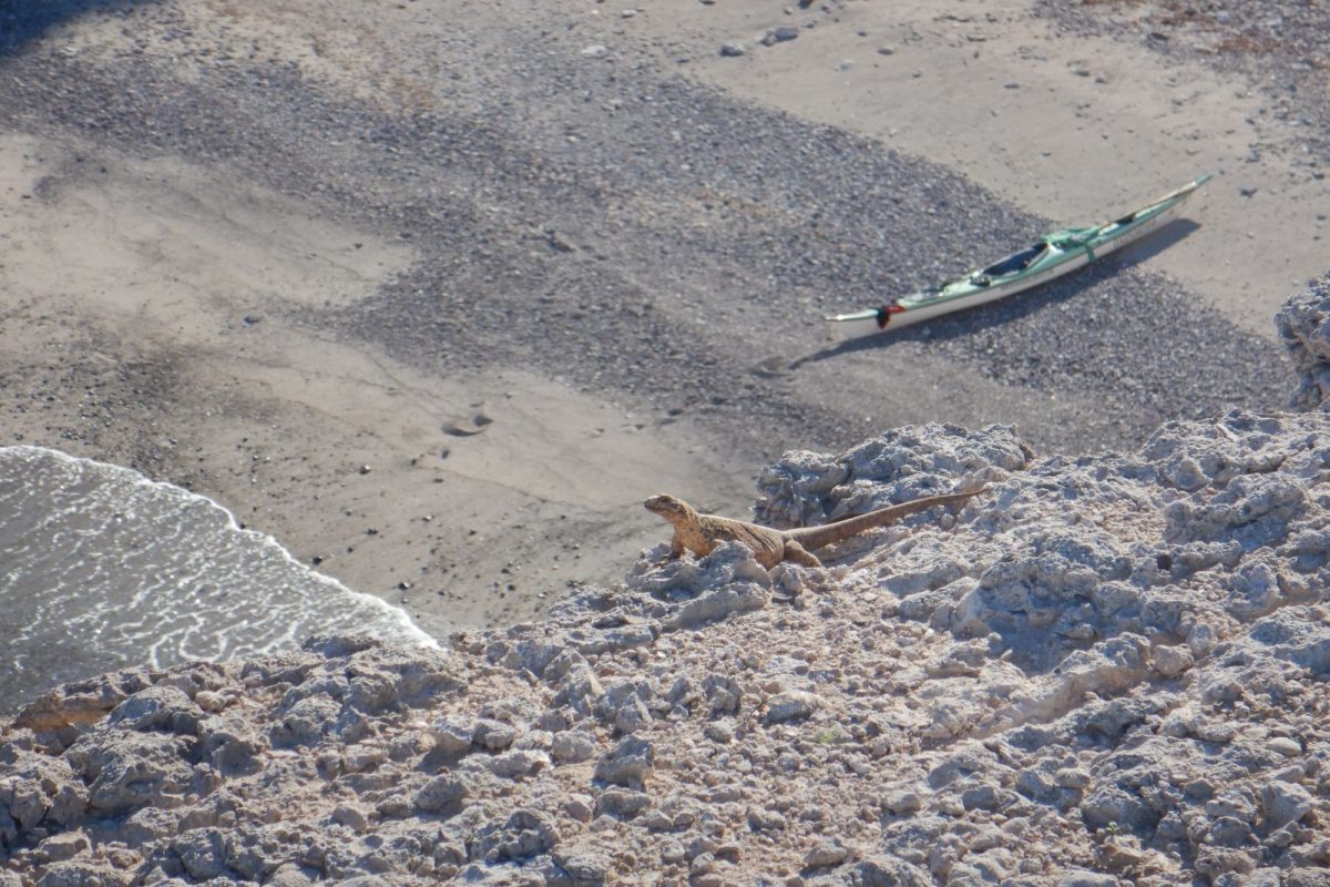 WhatsApp Image 2025-09-22 at 1.21.01 PM